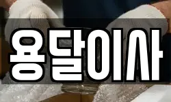 용달이사