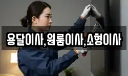용달이사,원룸이사,소형이사