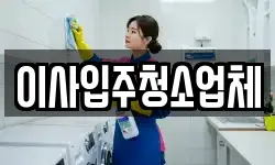 이사입주청소업체