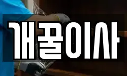 개꿀이사