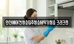 안산에어컨청소입주청소세탁기청소 크리크린
