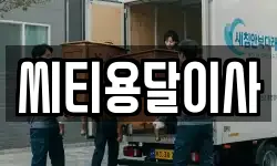 씨티용달이사