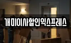 개미이사할인익스프레스