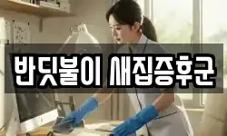 반딧불이 새집증후군