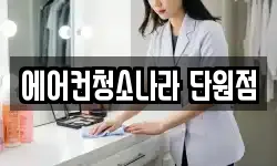 에어컨청소나라 단원점