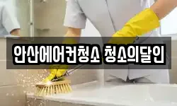 경기도 안산시 단원구 원시동 청소,입주청소,사무실청소,에어컨청소