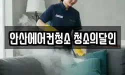 경기도 안산시 단원구 초지동 청소,입주청소,사무실청소,에어컨청소