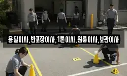 용달이사,반포장이사,1톤이사,원룸이사,보관이사