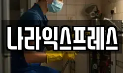 나라익스프레스