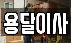 용달이사