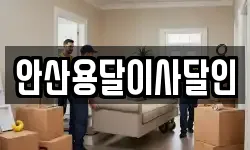 안산용달이사달인