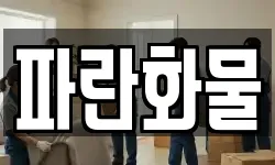 파란화물