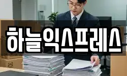 하늘익스프레스