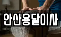 안산용달이사