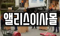 앨리스이사몰
