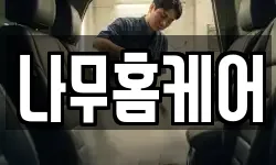 나무홈케어