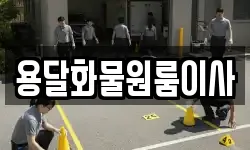 용달화물원룸이사