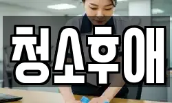 청소후애