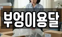 부엉이용달