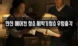 안산 에어컨 청소 세탁기청소 우렁총각
