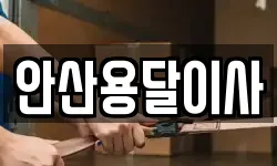 안산용달이사