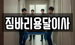 짐바리용달이사