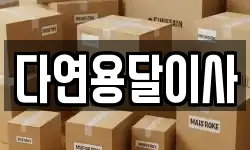 다연용달이사