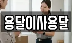 용달이사용달