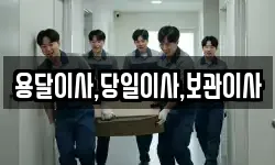 용달이사,당일이사,보관이사