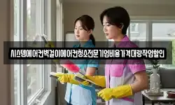 시스템에어컨벽걸이에어컨청소전문기업비용가격대량작업할인