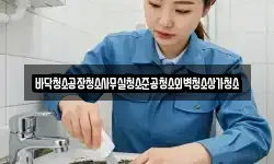 바닥청소공장청소사무실청소준공청소외벽청소상가청소