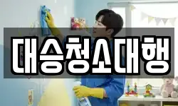 대승청소대행