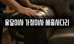 용달이사 가정이사 세종사다리