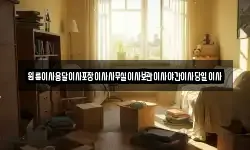 원룸이사용달이사포장이사사무실이사보관이사야간이사당일이사