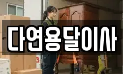 다연용달이사