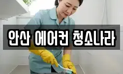 안산 에어컨 청소나라