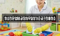 경기도 안성시 가현동 청소,입주청소,사무실청소,에어컨청소