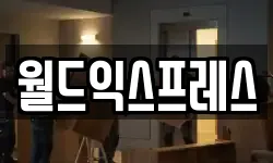 월드익스프레스