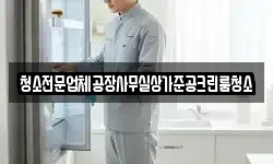 청소전문업체공장사무실상가준공크린룸청소
