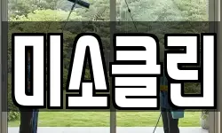 미소클린