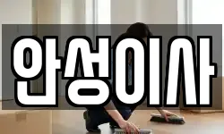 안성이사
