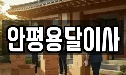 안평용달이사