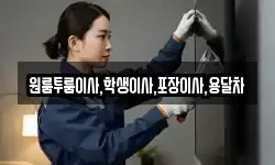 원룸투룸이사,학생이사,포장이사,용달차