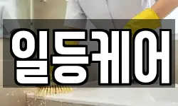 일등케어