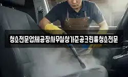 청소전문업체공장사무실상가준공크린룸청소전문