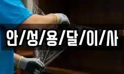 안/성/용/달/이/사