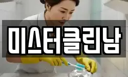 미스터클린남