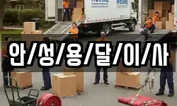 안/성/용/달/이/사