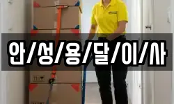 안/성/용/달/이/사