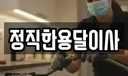 정직한용달이사